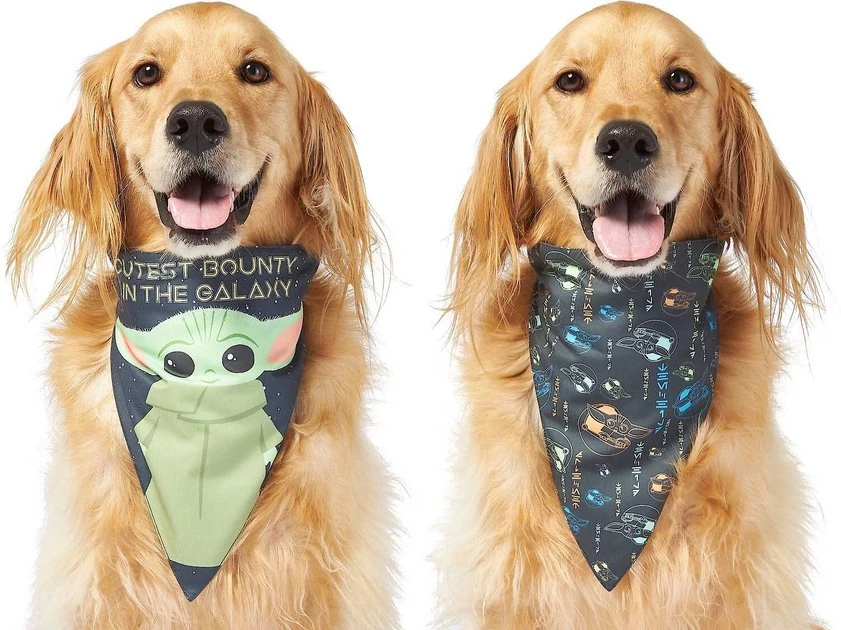 STAR WARS THE MANDALORIAN GROGU "Cutest Bounty" Reversible Dog & Cat Bandana 1 STAR WARS THE MANDALORIAN GROGU "Cutest Bounty" Reversible Dog & Cat Bandana