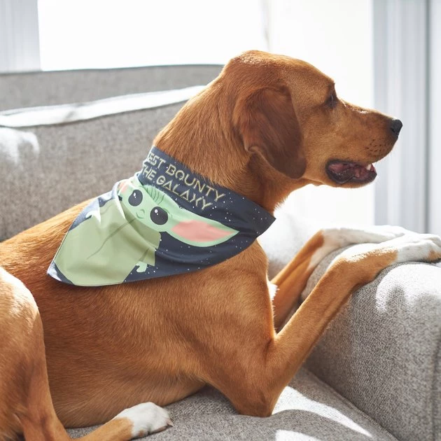 STAR WARS THE MANDALORIAN GROGU "Cutest Bounty" Reversible Dog & Cat Bandana 6 STAR WARS THE MANDALORIAN GROGU "Cutest Bounty" Reversible Dog & Cat Bandana - Image 6