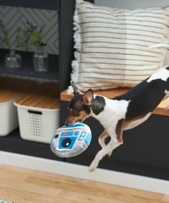 STAR WARS R2-D2 Round Plush Squeaky Dog Toy 5 STAR WARS R2-D2 Round Plush Squeaky Dog Toy -STAR WARS Shop 220868 PT2. SY630 V1612365557