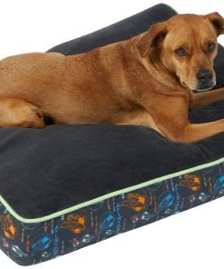 STAR WARS THE MANDALORIAN GROGU Pillow Cat & Dog Bed -STAR WARS Shop 222217 PT2. SY630 V1611758234