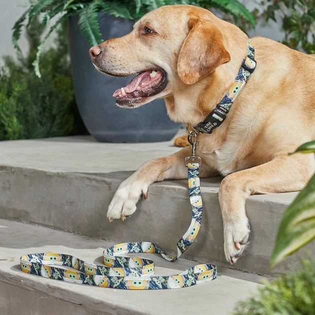 STAR WARS THE MANDALORIAN GROGU Dog Leash 3 STAR WARS THE MANDALORIAN GROGU Dog Leash - Image 3