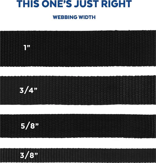 STAR WARS THE MANDALORIAN GROGU Dog Collar 5 STAR WARS THE MANDALORIAN GROGU Dog Collar - Image 5