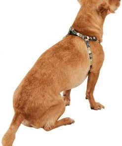 STAR WARS THE MANDALORIAN GROGU Dog Harness -STAR WARS Shop 226363 PT3. SY630 V1651611085