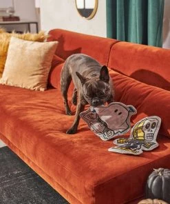 STAR WARS Halloween R2D2 & C-3PO Flat Plush Squeaky Dog Toy, 2 count -STAR WARS Shop 267880 PT3. SY630 V1623245766