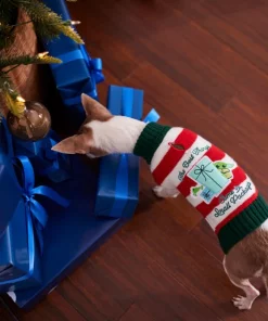 STAR WARS THE MANDALORIAN GROGU "The Best Things" Dog & Cat Sweater -STAR WARS Shop 270586 PT8. SY630 V1631659603