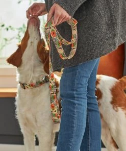 STAR WARS THE MANDALORIAN GROGU Pumpkin Dog Leash -STAR WARS Shop 272895 PT8. SY630 V1623879526