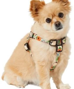 STAR WARS THE MANDALORIAN GROGU Pumpkin Dog Harness 7 STAR WARS THE MANDALORIAN GROGU Pumpkin Dog Harness -STAR WARS Shop 272935 PT6. SY630 V1624048071