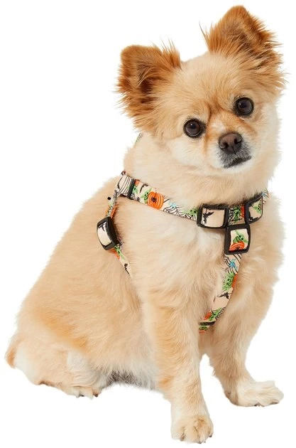 STAR WARS THE MANDALORIAN GROGU Pumpkin Dog Harness 3 STAR WARS THE MANDALORIAN GROGU Pumpkin Dog Harness - Image 3