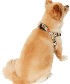 STAR WARS THE MANDALORIAN GROGU Pumpkin Dog Harness 8 STAR WARS THE MANDALORIAN GROGU Pumpkin Dog Harness -STAR WARS Shop 272935 PT7. SY630 V1624048052