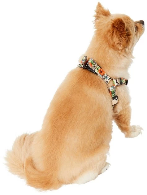STAR WARS THE MANDALORIAN GROGU Pumpkin Dog Harness 4 STAR WARS THE MANDALORIAN GROGU Pumpkin Dog Harness - Image 4