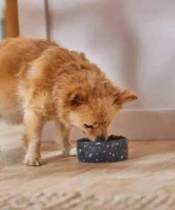 STAR WARS Navy Constellations No-Skid Ceramic Dog & Cat Bowl 8 STAR WARS Navy Constellations No-Skid Ceramic Dog & Cat Bowl -STAR WARS Shop 280643 PT2. SY630 V1629987254