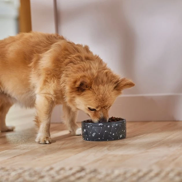 STAR WARS Navy Constellations No-Skid Ceramic Dog & Cat Bowl 3 STAR WARS Navy Constellations No-Skid Ceramic Dog & Cat Bowl - Image 3