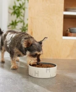 STAR WARS TIE FIGHTER Non-Skid Ceramic Dog & Cat Bowl 8 STAR WARS TIE FIGHTER Non-Skid Ceramic Dog & Cat Bowl -STAR WARS Shop 280647 PT2. SY630 V1629986771