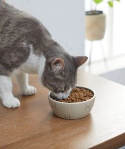 STAR WARS Tie Fighter No-Skid Ceramic Cat Bowl -STAR WARS Shop 280654 PT3. SY630 V1629986947