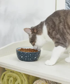 STAR WARS Navy Constellations No-Skid Ceramic Cat Bowl -STAR WARS Shop 280656 PT3. SY630 V1629986532