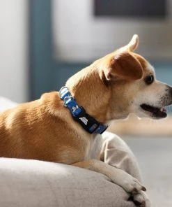 STAR WARS Streetwear Pattern Dog Collar -STAR WARS Shop 289485 PT8. SY630 V1634304217