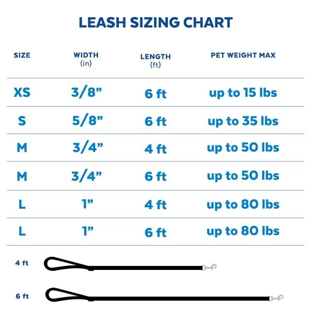 STAR WARS Streetwear Pattern Dog Leash 3 STAR WARS Streetwear Pattern Dog Leash - Image 3