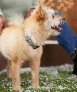 STAR WARS THE MANDALORIAN GROGU Holiday Dog Collar -STAR WARS Shop 289767 PT8. SY630 V1632185634