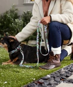 STAR WARS THE MANDALORIAN GROGU Holiday Dog Leash 7 STAR WARS THE MANDALORIAN GROGU Holiday Dog Leash -STAR WARS Shop 289836 PT8. SY630 V1632185618