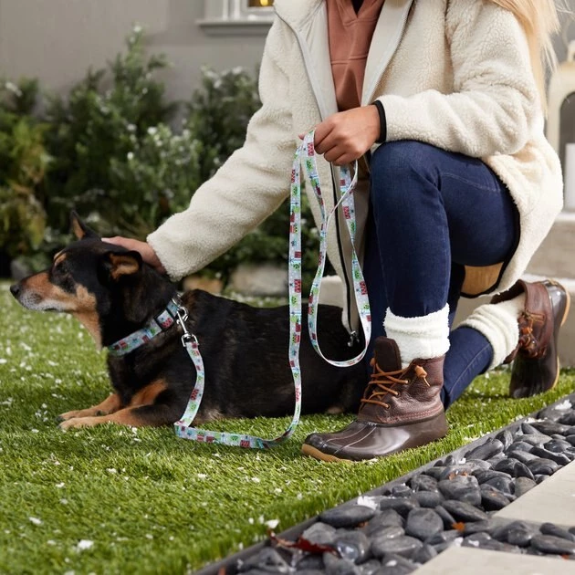 STAR WARS THE MANDALORIAN GROGU Holiday Dog Leash 4 STAR WARS THE MANDALORIAN GROGU Holiday Dog Leash - Image 4