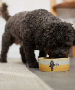STAR WARS THE MANDALORIAN & CHILD Desert Non-Skid Ceramic Dog & Cat Bowl -STAR WARS Shop 291414 PT2. SY630 V1633979880