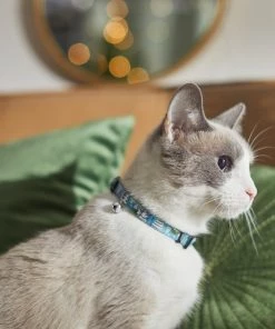 STAR WARS THE MANDALORIAN GROGU Snowman Cat Collar, 8 - 12 inches, Width: 5/8-in -STAR WARS Shop 291663 PT8. SY630 V1632186755