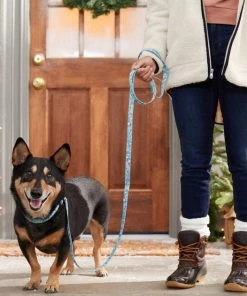 STAR WARS THE MANDALORIAN GROGU Snowman Dog Leash -STAR WARS Shop 291676 PT8. SY630 V1632185962