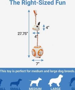 STAR WARS BB-8 Ballistic Nylon Plush Squeaky Toy + MILLENNIUM FALCON Ballistic Nylon Plush Squeaky Dog Toy -STAR WARS Shop 302554 PT2. SY630 V1623060147