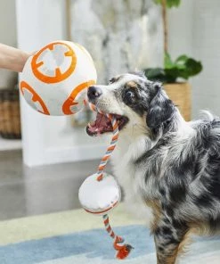 STAR WARS BB-8 Ballistic Nylon Plush Squeaky Toy + MILLENNIUM FALCON Ballistic Nylon Plush Squeaky Dog Toy -STAR WARS Shop 302554 PT3. SY630 V1623081150