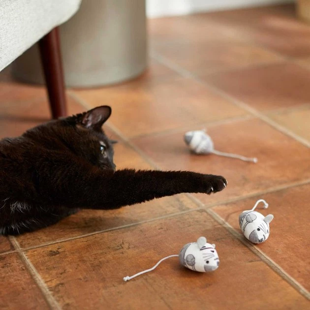 STAR WARS C-3PO Plush Kicker + STORMTROOPER Plush Mice Cat Toy with Catnip 7 STAR WARS C-3PO Plush Kicker + STORMTROOPER Plush Mice Cat Toy with Catnip - Image 7