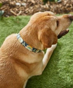 STAR WARS THE MANDALORIAN GROGU Collar + Dog Leash 11 STAR WARS THE MANDALORIAN GROGU Collar + Dog Leash -STAR WARS Shop 302564 PT3. SY630 V1623038560