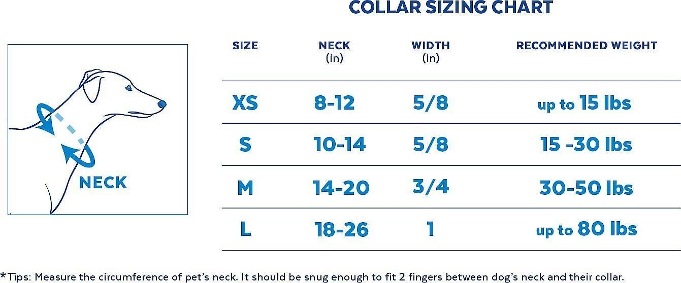 STAR WARS THE MANDALORIAN GROGU Collar + Dog Leash 5 STAR WARS THE MANDALORIAN GROGU Collar + Dog Leash - Image 5