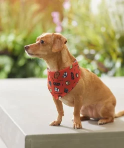 STAR WARS Pictogram Dog & Cat Bandana -STAR WARS Shop 311873 PT8. SY630 V1643322232