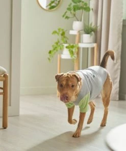 STAR WARS THE MANDALORIAN GROGU "Doesn't Listen" Dog & Cat Raglan T-shirt -STAR WARS Shop 311884 PT8. SY630 V1643325840