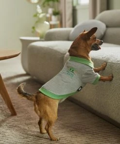 STAR WARS THE MANDALORIAN GROGU "Precious Cargo" Dog & Cat Polo -STAR WARS Shop 311916 PT8. SY630 V1643331336