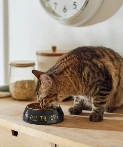 STAR WARS Melamine Stainless Steel Dog & Cat Bowl -STAR WARS Shop 315267 PT3. SY630 V1647283578