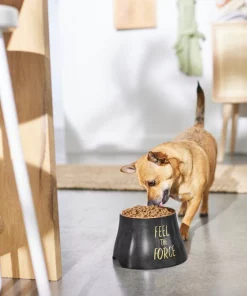 STAR WARS Elevated Melamine Stainless Steel Dog & Cat Bowl 9 STAR WARS Elevated Melamine Stainless Steel Dog & Cat Bowl -STAR WARS Shop 315274 PT2. SY630 V1647282246