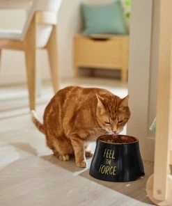 STAR WARS Elevated Melamine Stainless Steel Dog & Cat Bowl 10 STAR WARS Elevated Melamine Stainless Steel Dog & Cat Bowl -STAR WARS Shop 315274 PT3. SY630 V1647282097