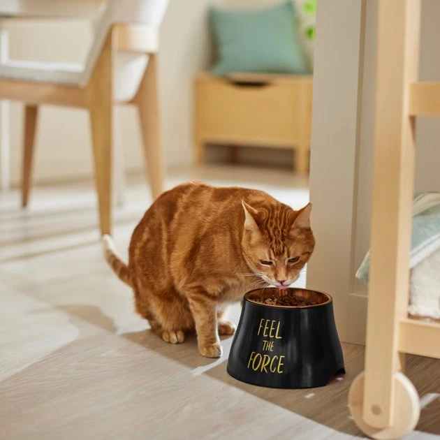 STAR WARS Elevated Melamine Stainless Steel Dog & Cat Bowl 4 STAR WARS Elevated Melamine Stainless Steel Dog & Cat Bowl - Image 4