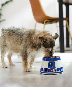 STAR WARS R2-D2 Elevated Melamine Stainless Steel Dog & Cat Bowl -STAR WARS Shop 315278 PT2. SY630 V1647281494