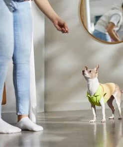 STAR WARS THE MANDALORIAN GROGU Dog & Cat Fleece Vest -STAR WARS Shop 316118 PT8. SY630 V1646178280