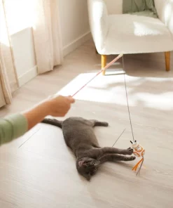 STAR WARS BB-8 Teaser Wand Cat Toy, with Catnip -STAR WARS Shop 316362 PT3. SY630 V1645205905