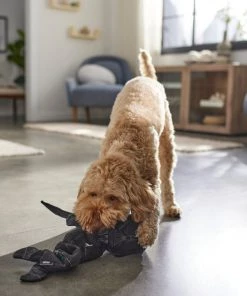 STAR WARS DARTH VADER Bungee Plush Squeaky Dog Toy -STAR WARS Shop 316378 PT3. SY630 V1645205728