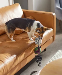 STAR WARS STORMTROOPER, BOBA FETT & DARTH VADER Plush with Rope Squeaky Dog Toy -STAR WARS Shop 316384 PT3. SY630 V1645205714