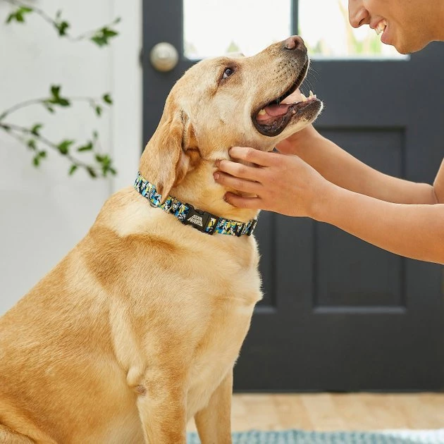 STAR WARS STORMTROOPER Collar, LG - Neck: 18 - 26-in, Width: 1-in + Dog Leash, LG - Length: 6-ft, Width: 1-in 5 STAR WARS STORMTROOPER Collar, LG - Neck: 18 - 26-in, Width: 1-in + Dog Leash, LG - Length: 6-ft, Width: 1-in - Image 5