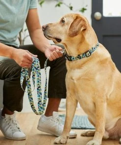 STAR WARS STORMTROOPER Collar, LG - Neck: 18 - 26-in, Width: 1-in + Dog Leash, LG - Length: 6-ft, Width: 1-in 17 STAR WARS STORMTROOPER Collar, LG - Neck: 18 - 26-in, Width: 1-in + Dog Leash, LG - Length: 6-ft, Width: 1-in -STAR WARS Shop 319588 PT8. SY630 V1630623707