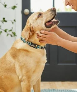 STAR WARS STORMTROOPER Collar, MD - Neck: 14 - 20-in, Width: 3/4-in + Dog Leash, MD - Length: 6-ft, Width: 3/4-in 13 STAR WARS STORMTROOPER Collar, MD - Neck: 14 - 20-in, Width: 3/4-in + Dog Leash, MD - Length: 6-ft, Width: 3/4-in -STAR WARS Shop 319590 PT4. SY630 V1630622179