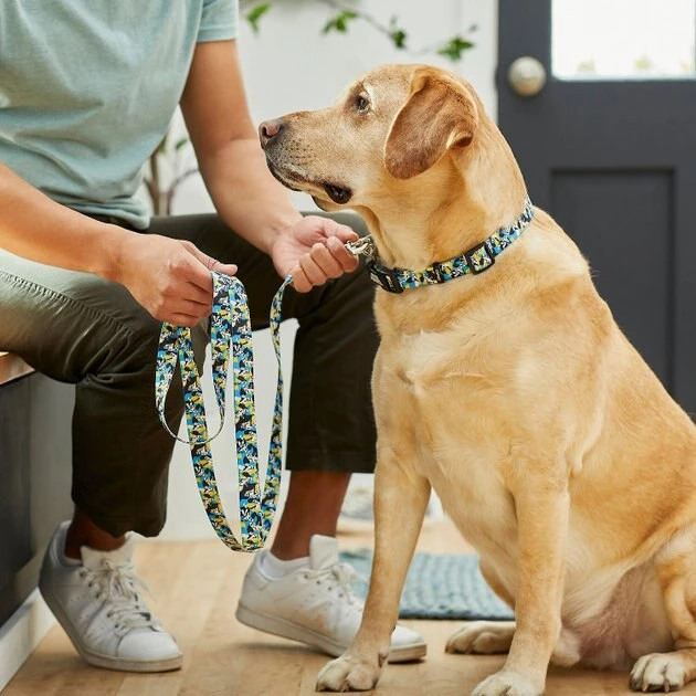 STAR WARS STORMTROOPER Collar, SM - Neck: 10 - 14-in, Width: 5/8-in + Dog Leash, SM - Length: 6-ft, Width: 5/8-in 9 STAR WARS STORMTROOPER Collar, SM - Neck: 10 - 14-in, Width: 5/8-in + Dog Leash, SM - Length: 6-ft, Width: 5/8-in - Image 9