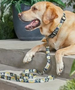 STAR WARS THE MANDALORIAN GROGU Harness + Dog Leash -STAR WARS Shop 319602 PT8. SY630 V1630617968