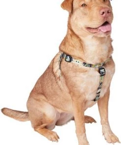 STAR WARS THE MANDALORIAN GROGU Harness + Dog Leash -STAR WARS Shop 319606 PT2. SY630 V1630621588